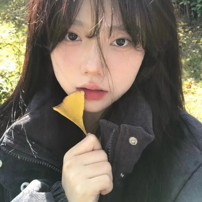 火拳快影